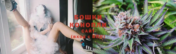 амф Белоозёрский