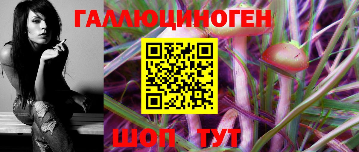 Псилоцибиновые грибы Psilocybe  Вход с VPN  Бутурлиновка 